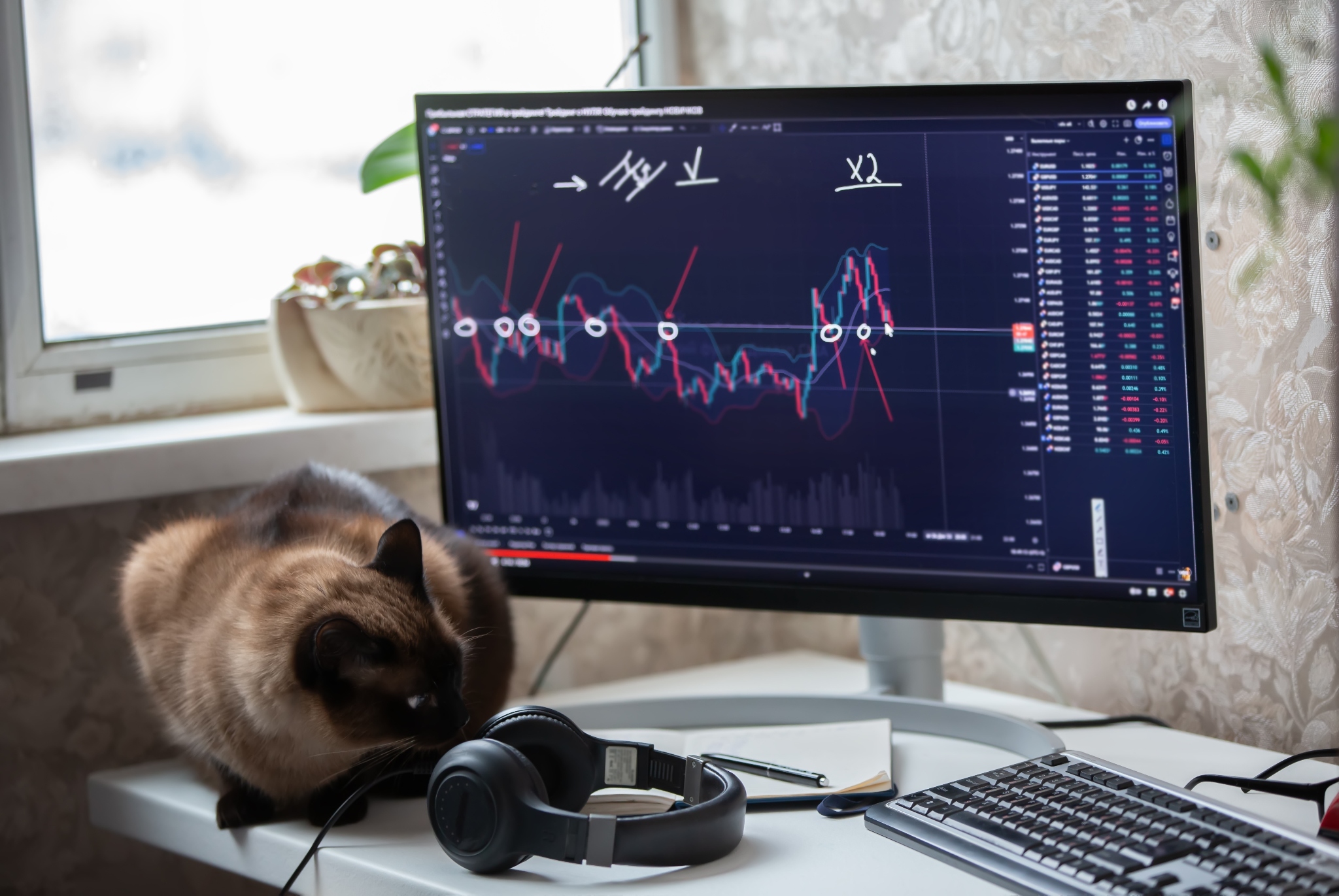 "Cycles of Fortune: Decoding Market Seasons"